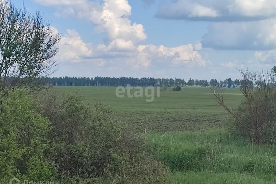 земля р-н Тамбовский село Козьмодемьяновка Лысогорский сельсовет, Подгорная улица фото 5