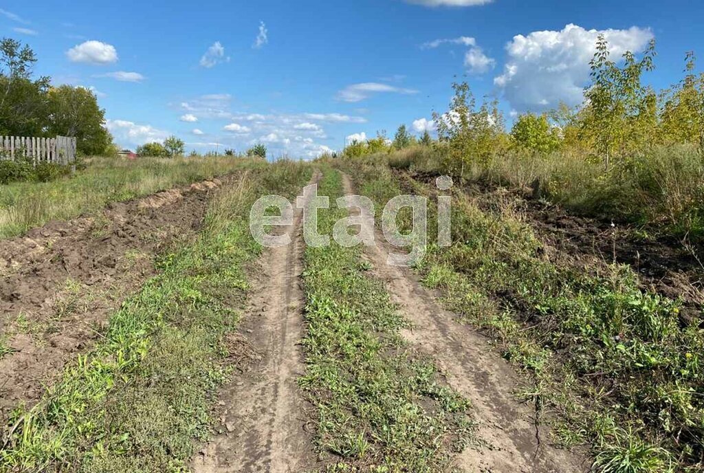 земля г Барнаул п Бельмесево ул Плодородная фото 6