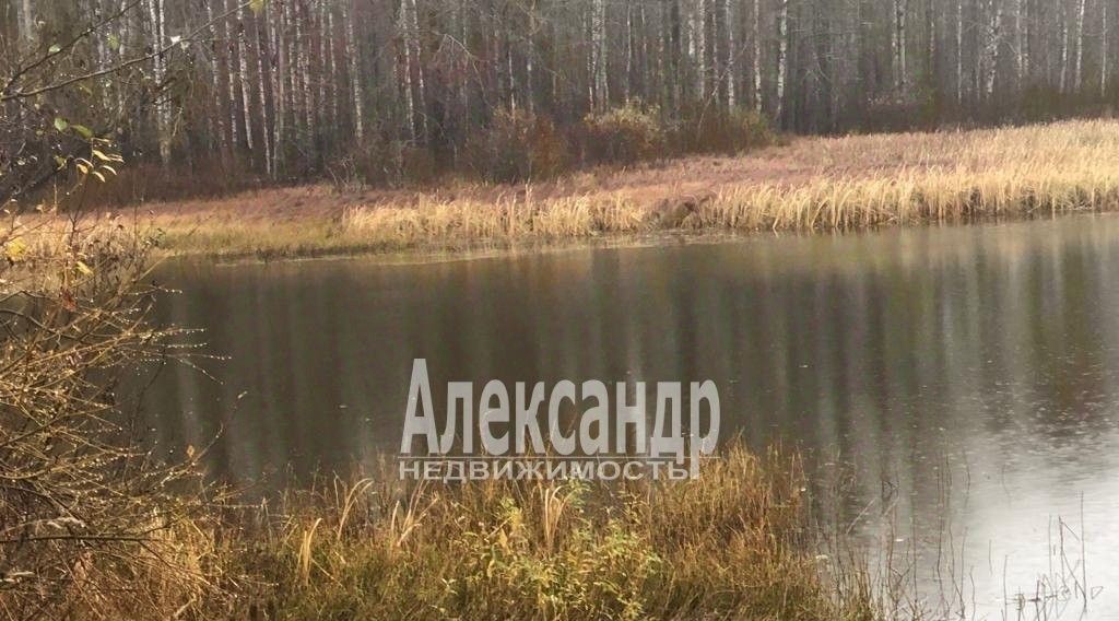 земля р-н Выборгский д Камышовка Приморское городское поселение фото 1