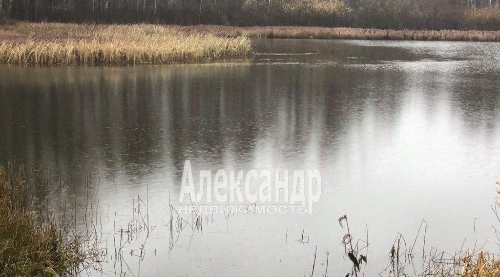 земля р-н Выборгский д Камышовка Приморское городское поселение фото 2