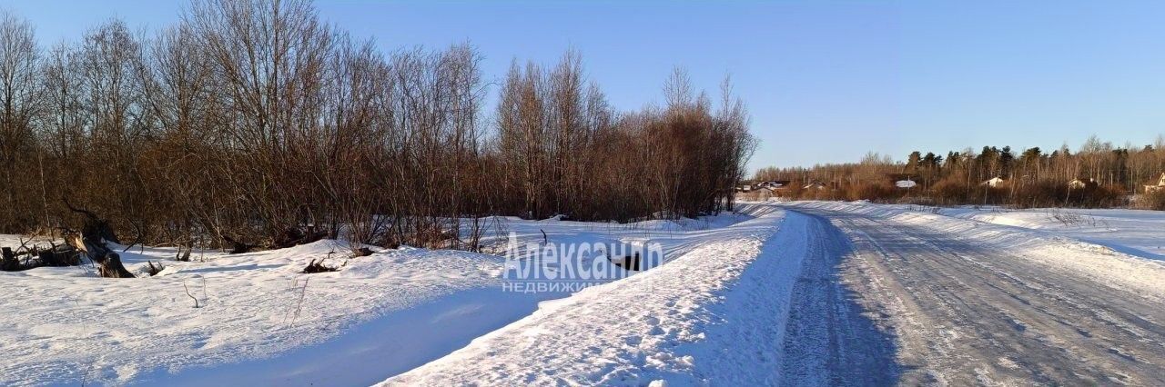 земля р-н Приозерский п Ромашки Ромашкинское с/пос, Парнас фото 2