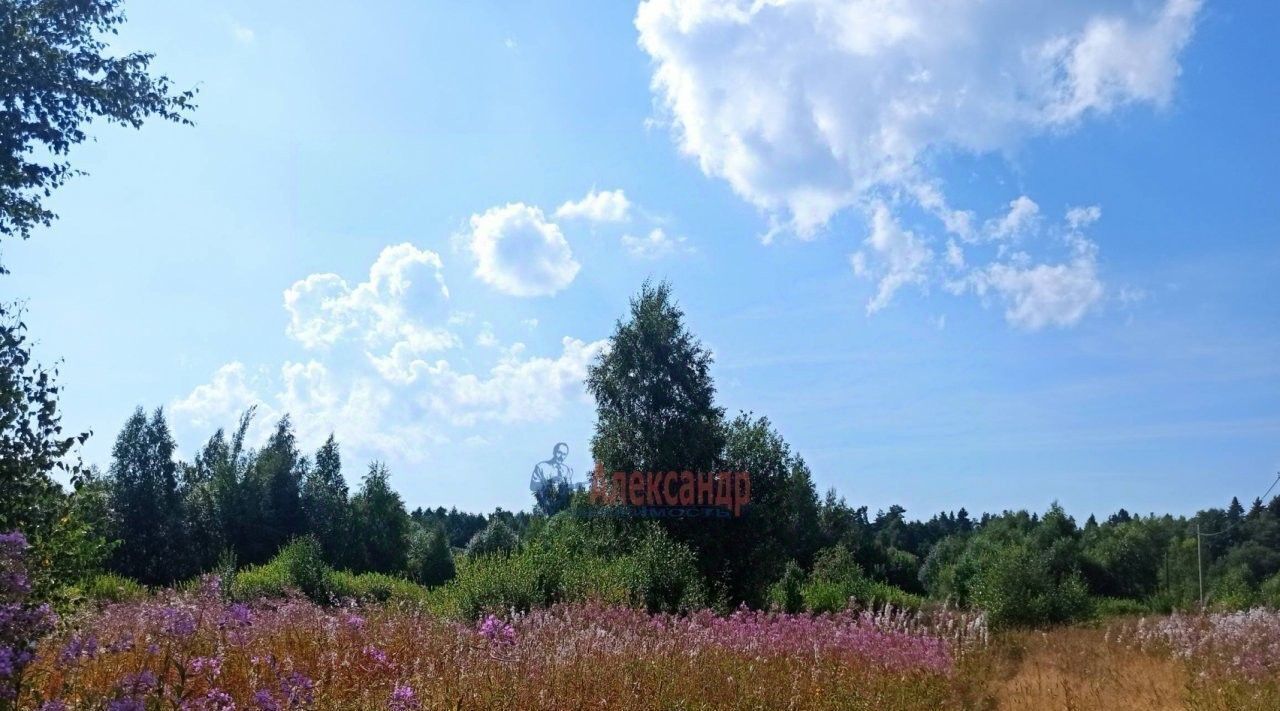 земля р-н Выборгский п Советский ул Заречная Советское городское поселение фото 6