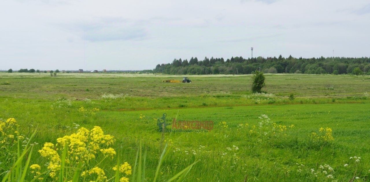 земля р-н Ломоносовский д Заостровье Лопухинское с/пос, Беговая фото 16