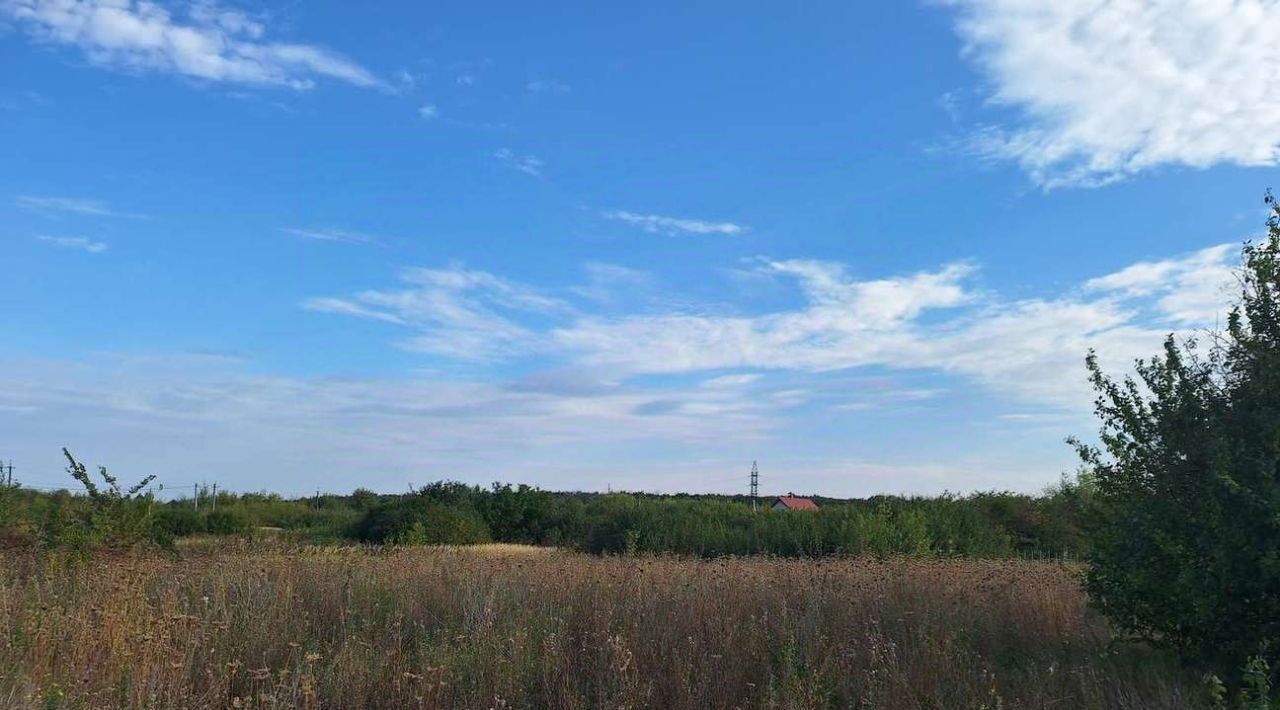 земля г Воронеж снт Надежда с пос, 119, Рамонский район, Березовское фото 4