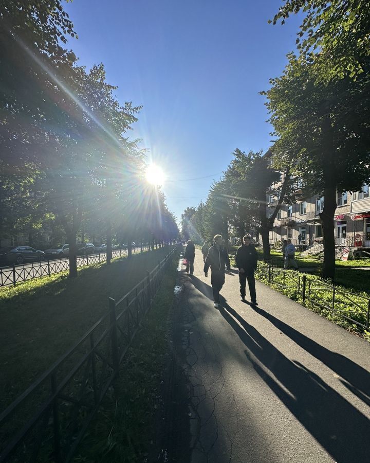 торговое помещение г Санкт-Петербург метро Елизаровская пр-кт Елизарова 19 фото 3