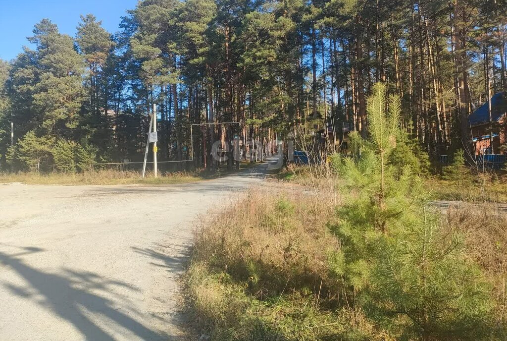 земля г Новосибирск метро Площадь Гарина-Михайловского дачный посёлок Кудряшовский, улица Лиговка фото 16