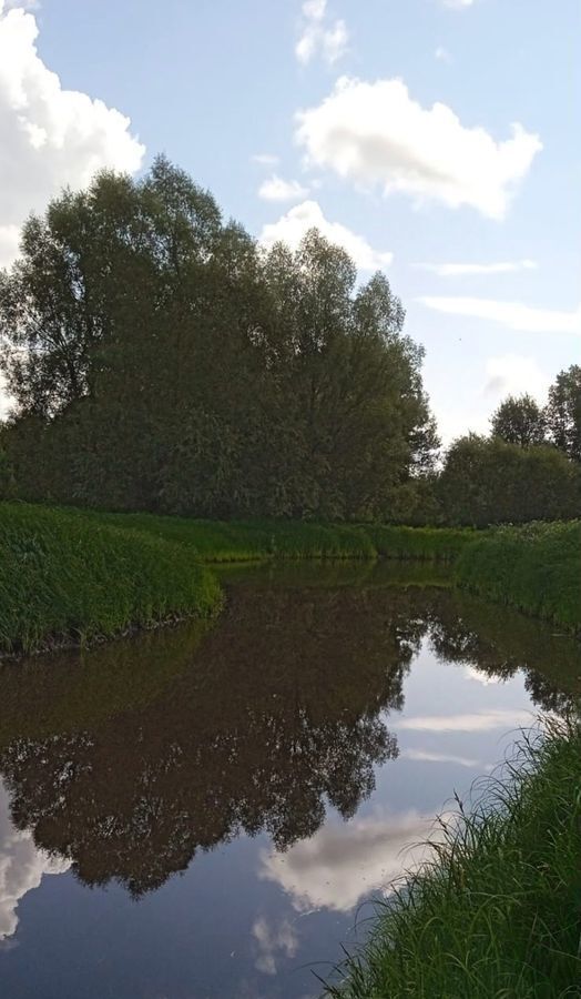 дом р-н Новгородский рп Панковка Панковское городское поселение, садоводческий массив № 3, садоводческое товарищество, Берёзка фото 32