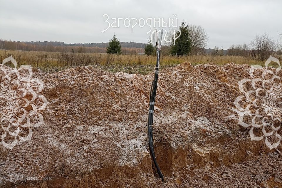 земля городской округ Истра д Ефимоново Лесная улица фото 10