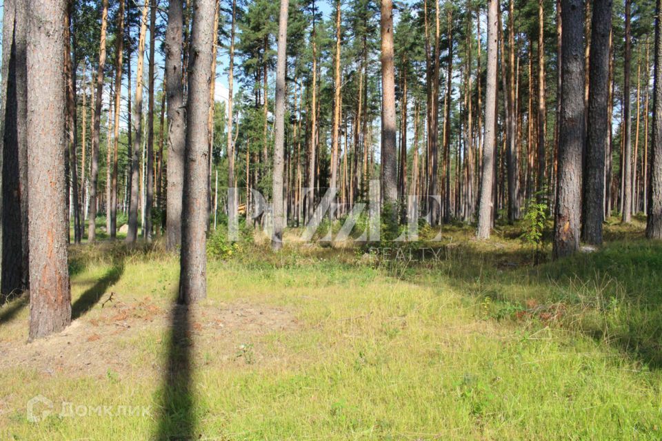 земля р-н Приозерский Петровское сельское поселение фото 1