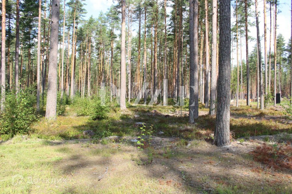 земля р-н Приозерский Петровское сельское поселение фото 1