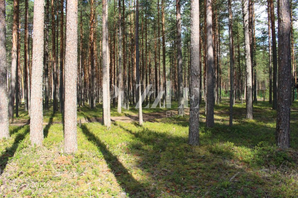 земля р-н Приозерский Петровское сельское поселение фото 1