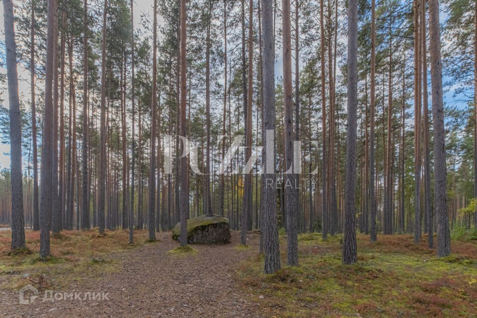 земля р-н Приозерский Петровское сельское поселение фото 5