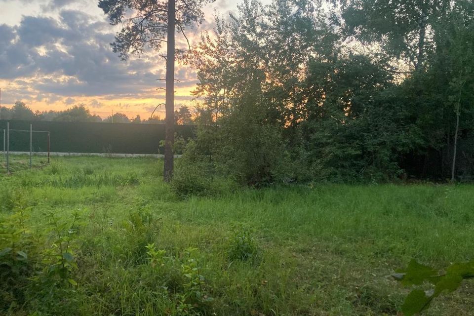 земля городской округ Пушкинский Зеленоградский фото 1