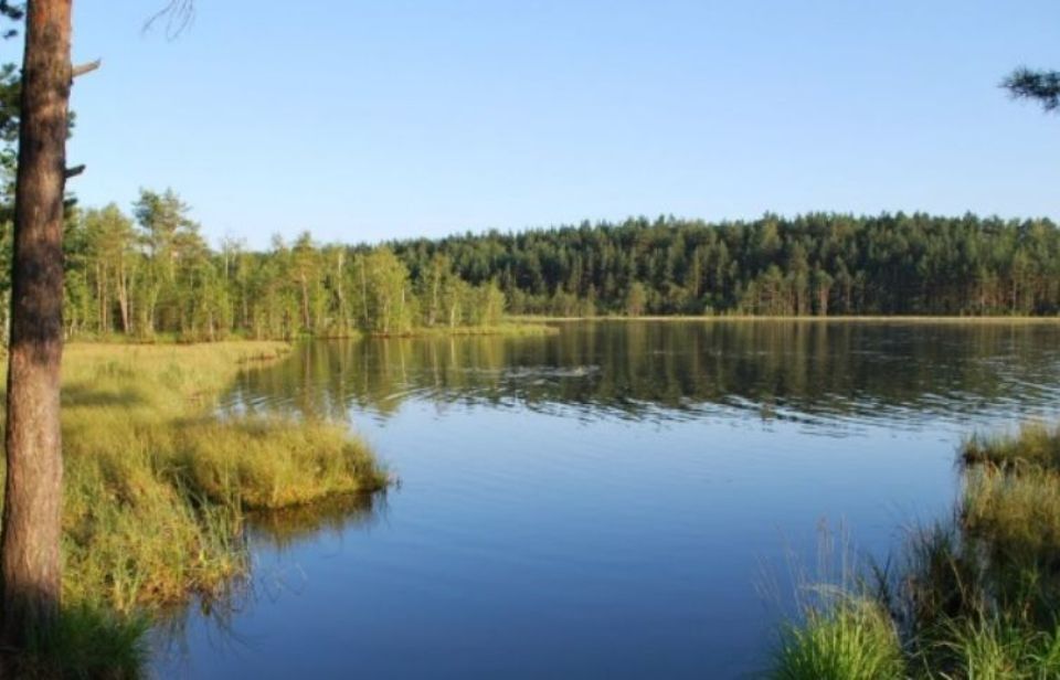 земля городской округ Сергиево-Посадский СНТ Луч-2 фото 1