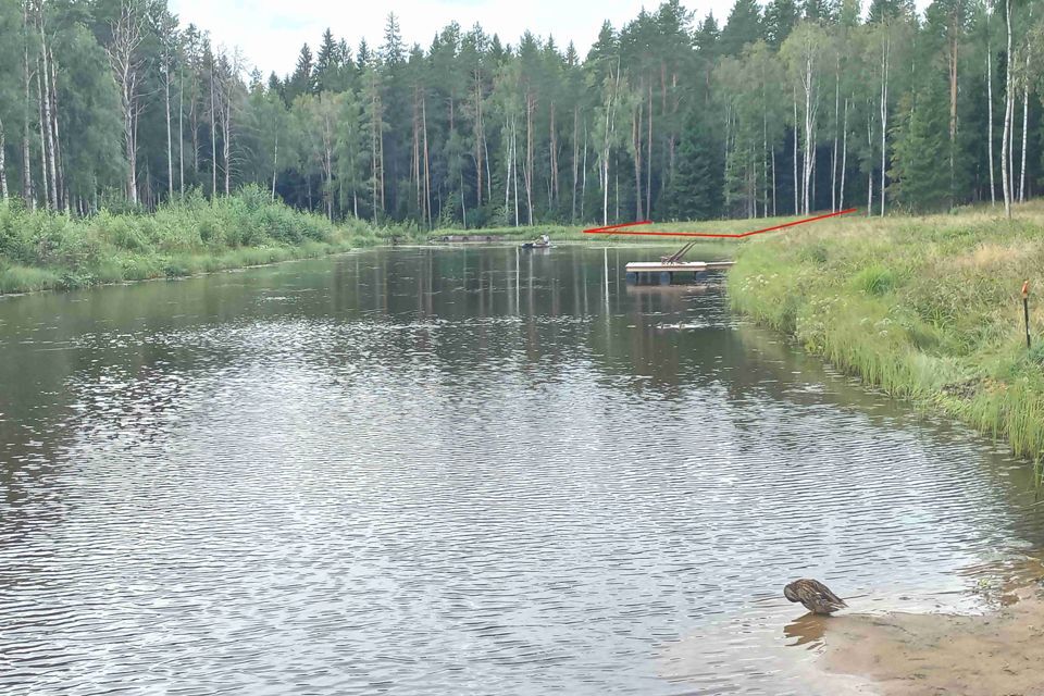 земля р-н Выборгский фото 1