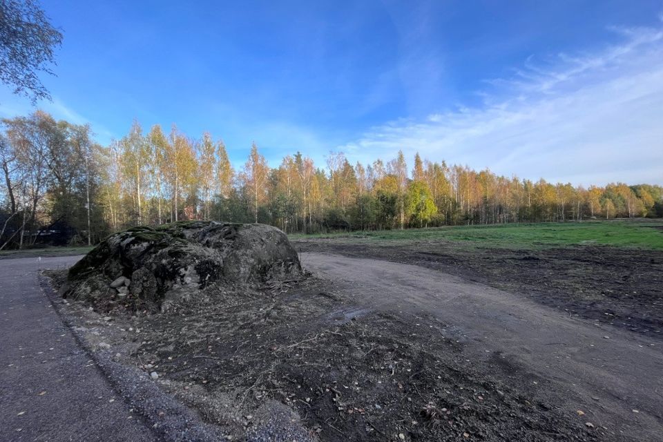 земля р-н Приозерский Васильево фото 1