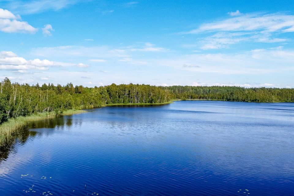 земля р-н Выборгский Советское городское поселение фото 3