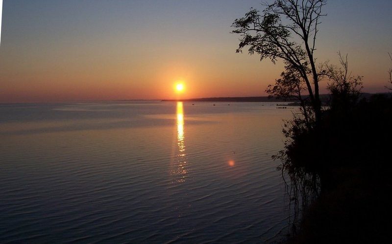 земля городской округ Шаховская коттеджный посёлок Новорижский пляж фото 4