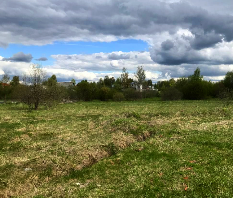 земля городской округ Раменский некоммерческое партнёрство Одуванчик фото 3