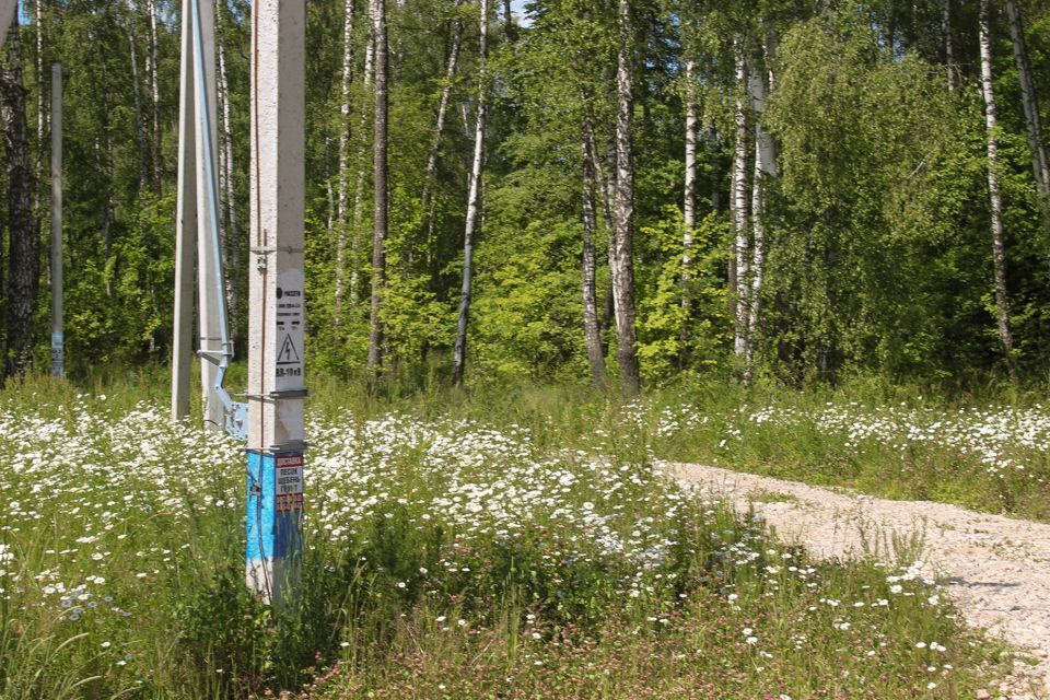 земля городской округ Домодедово д Шишкино Растуновский административный округ, коттеджный посёлок Шишкино фото 4