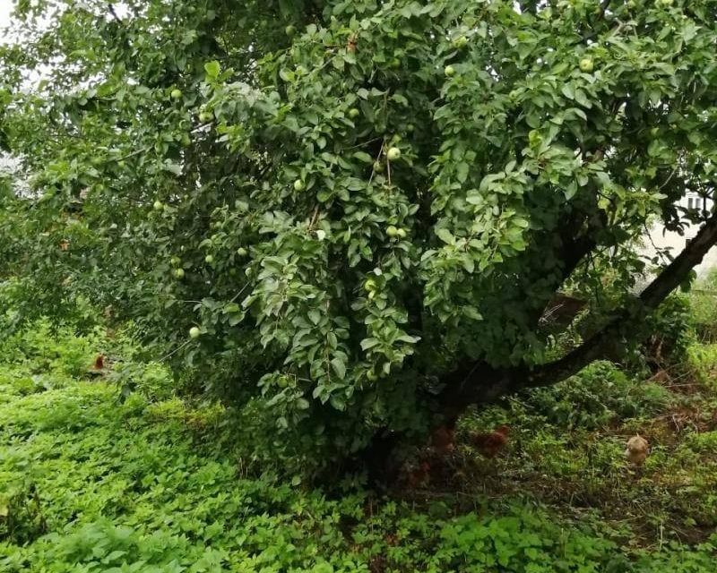 дом г Воскресенск ул Куйбышева 43 городской округ Воскресенск фото 2