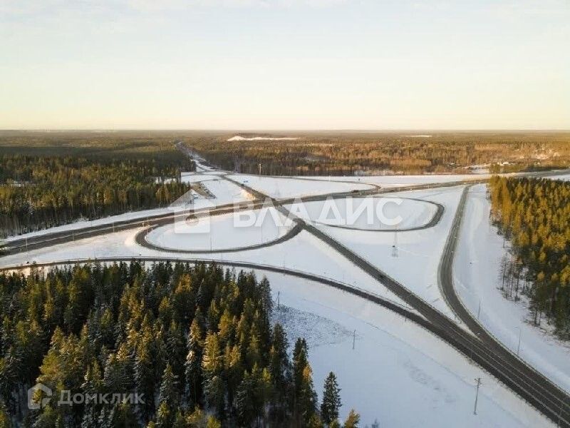 земля р-н Выборгский СНТ Надежда-3 фото 1