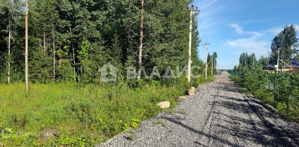 земля р-н Всеволожский ДНП Слобода, 92 фото 1