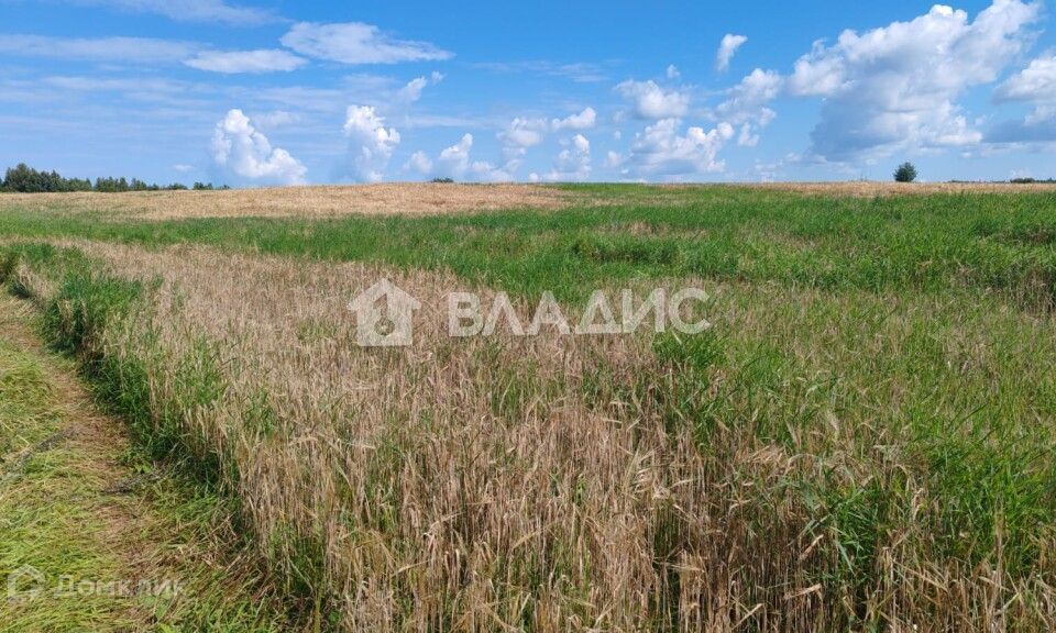 земля р-н Кировский Васильково фото 1