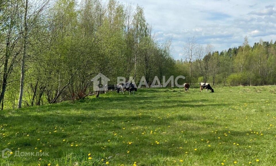 земля р-н Всеволожский массив Мендсары днп Грин Хилл ул Васильковая фото 3