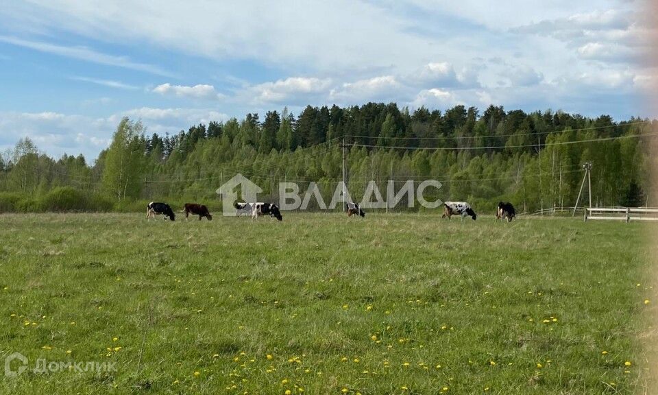 земля р-н Всеволожский массив Мендсары днп Грин Хилл ул Васильковая фото 4