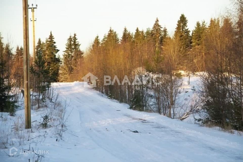 земля р-н Выборгский СНТ Надежда-3 фото 2