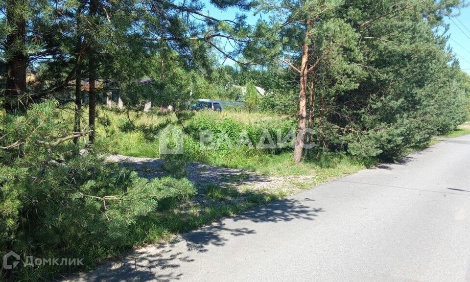 земля г Санкт-Петербург п Лисий Нос Каупилово Приморский фото 4