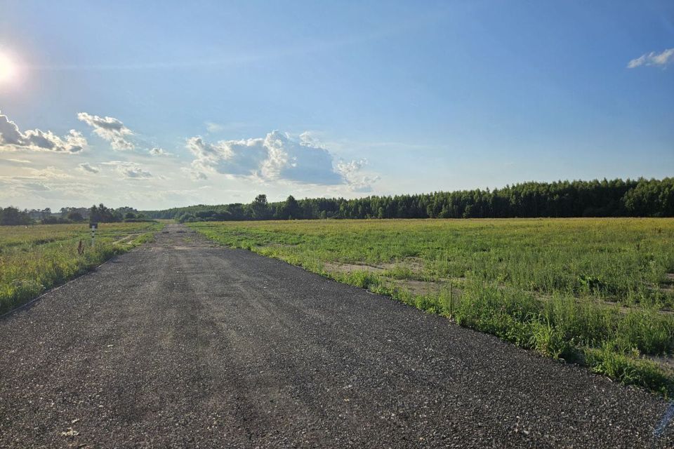 земля городской округ Раменский Васильево фото 2