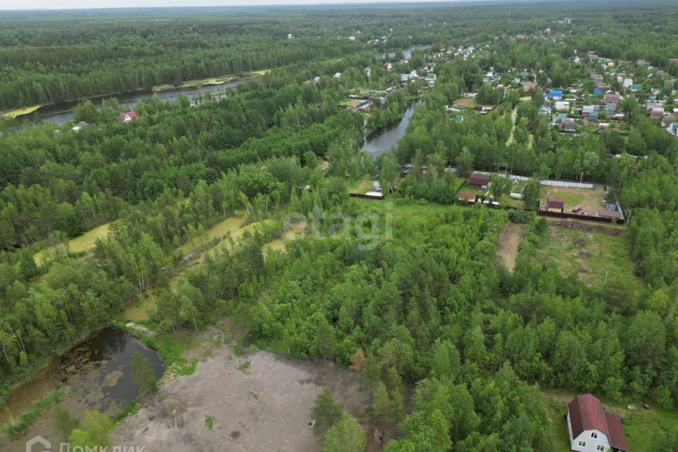 земля городской округ Воскресенск СНТ Химик-4 фото 4