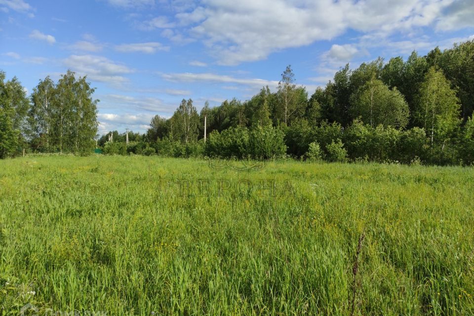 дом городской округ Богородский массив дачной застройки Тимковские Поляны фото 9