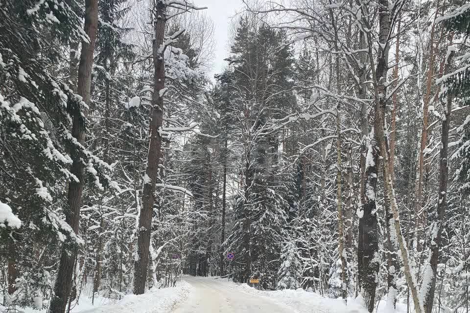 земля городской округ Богородский Калитино фото 5