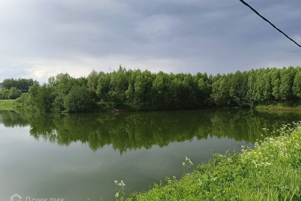 земля городской округ Раменский деревня Васильево фото 9