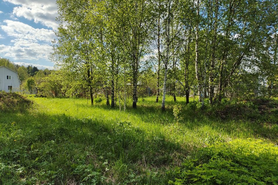 земля городской округ Наро-Фоминский СНТ Лужок фото 9