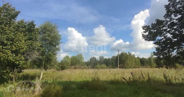 Коломна городской округ, Найдено фото