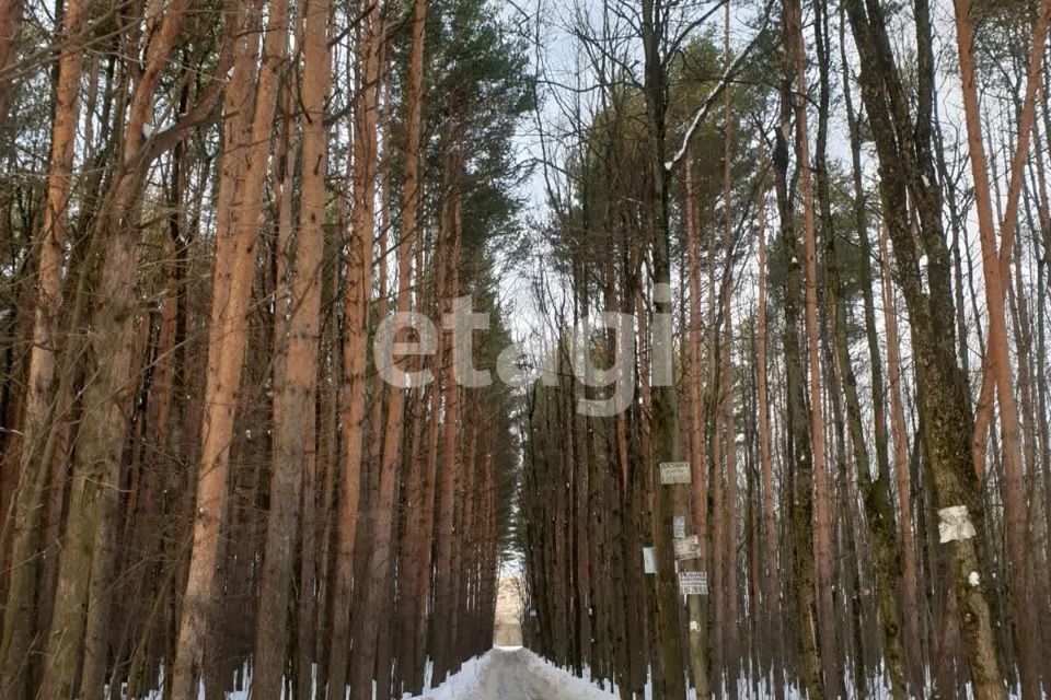 земля городской округ Подольск СНТ Ордынцы, 78 фото 4