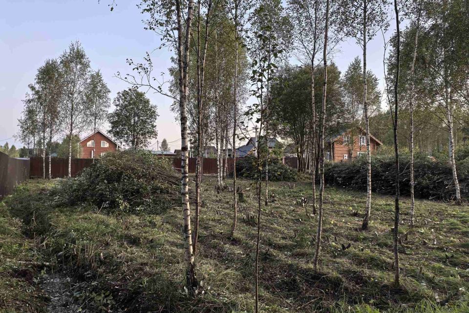 земля городской округ Волоколамский фото 7