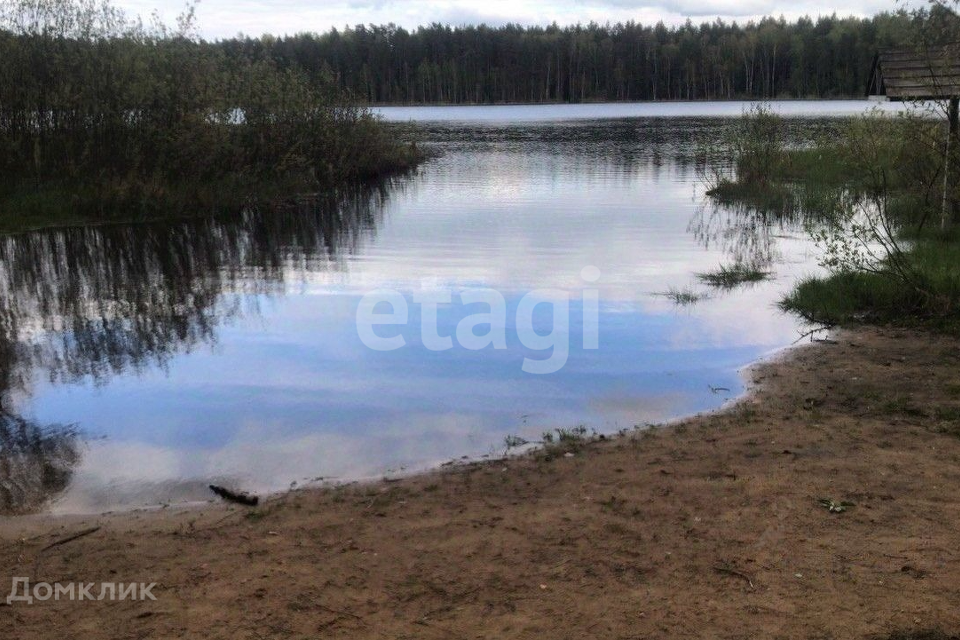 земля городской округ Щёлково Снежная-2 фото 7