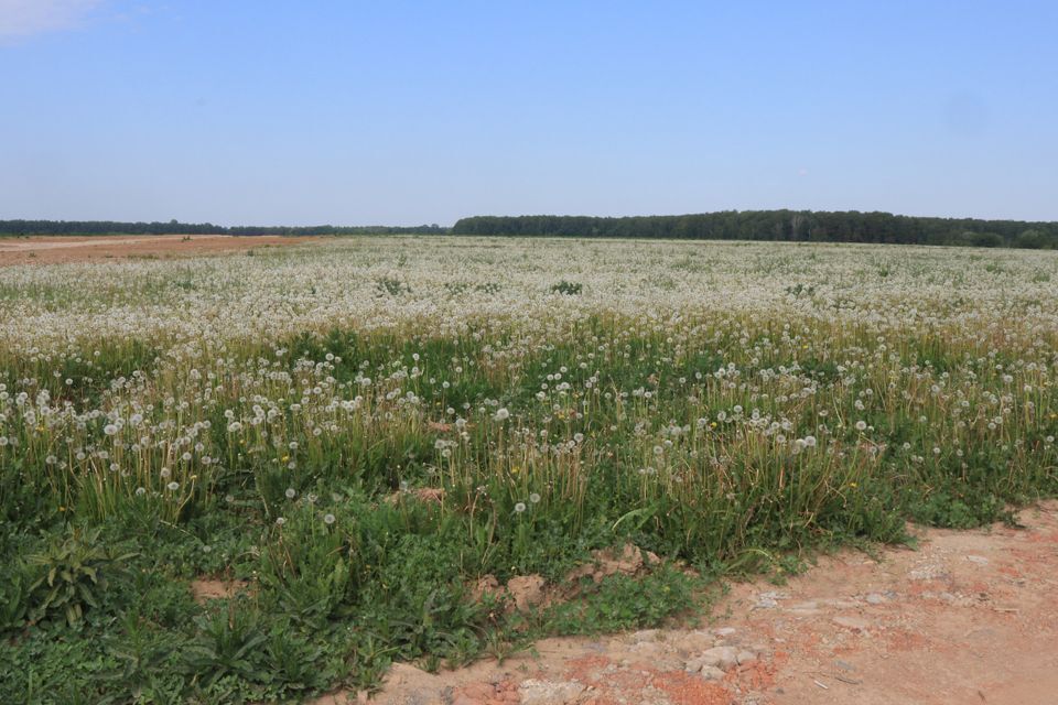 земля г Домодедово Белые Столбы, Домодедово городской округ фото 6