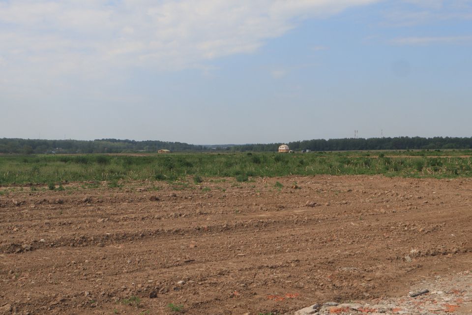 земля г Домодедово Белые Столбы, Домодедово городской округ фото 9