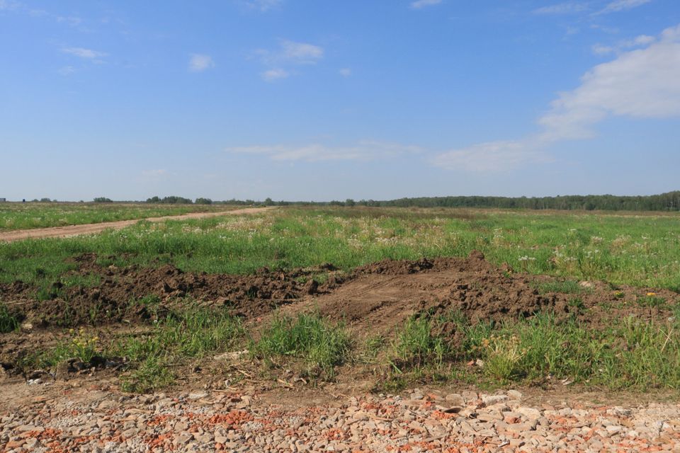 земля г Домодедово Белые Столбы, Домодедово городской округ фото 6