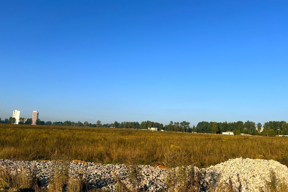 земля г Пушкино Заветы Ильича, Пушкинский городской округ фото 8