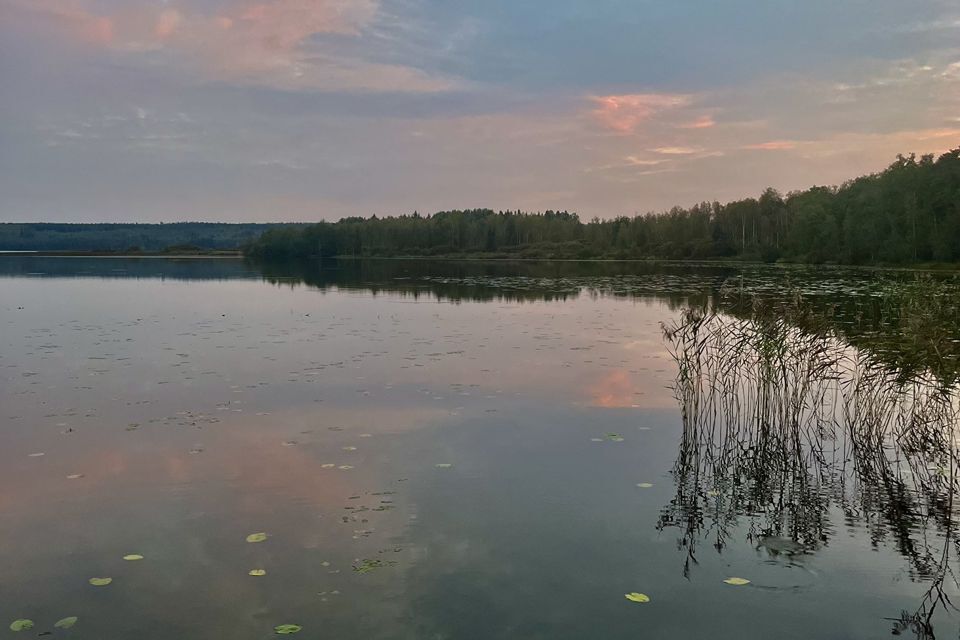 земля р-н Выборгский п Поляны ул Цветочная фото 10