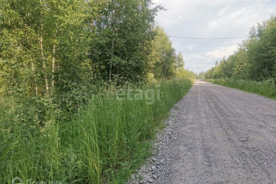 земля р-н Волховский д Загубье ул Луговая 30 фото 8