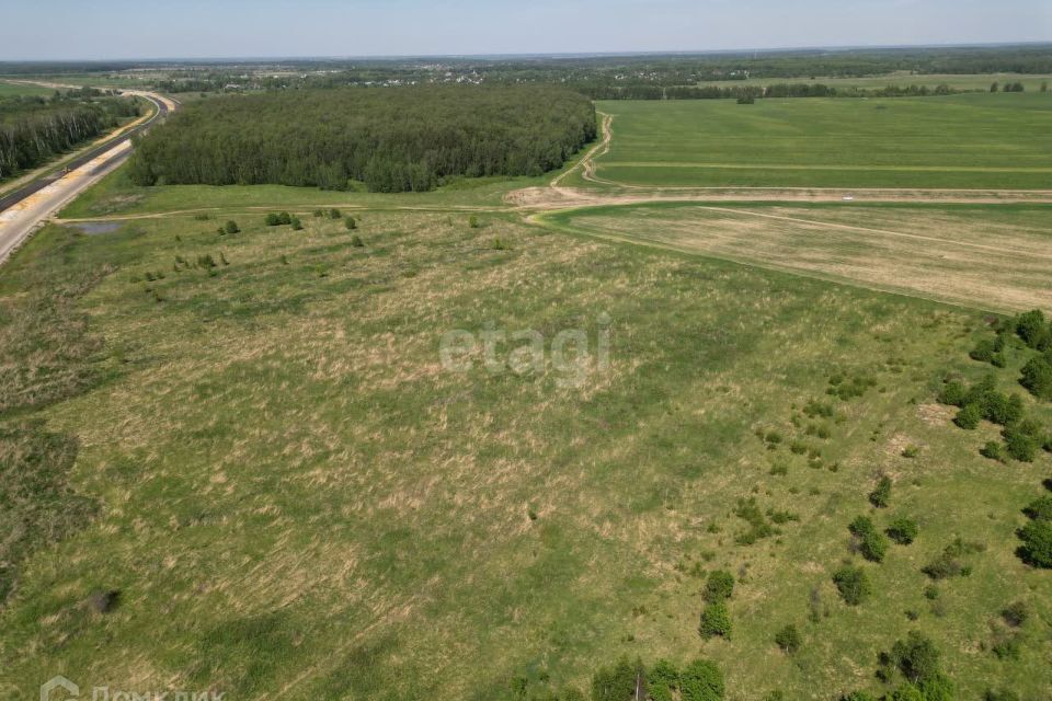 земля городской округ Раменский фото 4