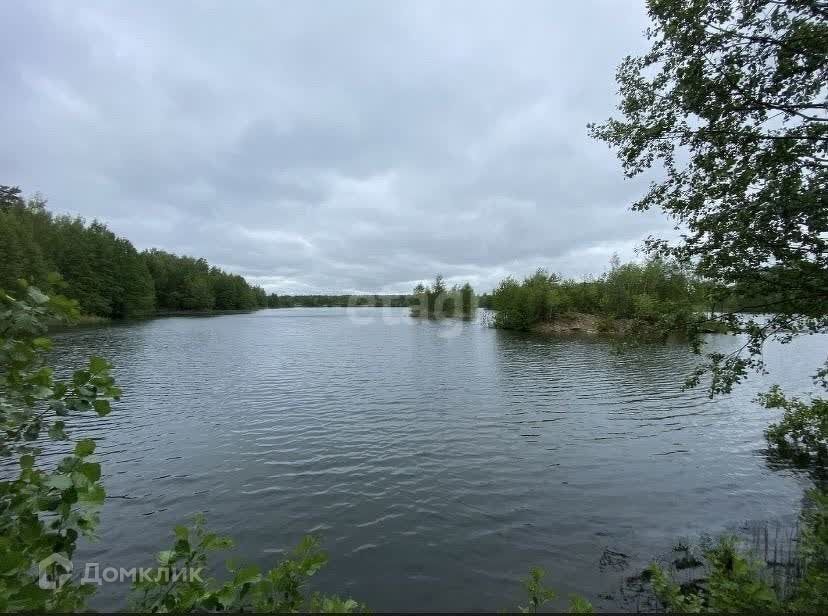 земля городской округ Орехово-Зуевский Молоково фото 5